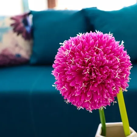 Apartment Zadar, The Florens - Near The With The New Pool & Garden, Bbq And Kids Playground