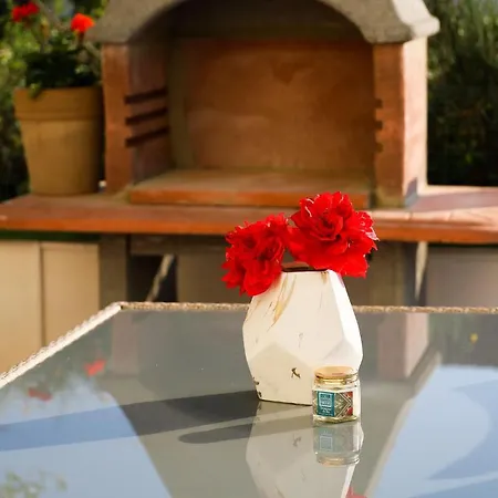 Zadar, The Florens - Near The With The New Pool & Garden, Bbq And Kids Playground Apartment Zadar