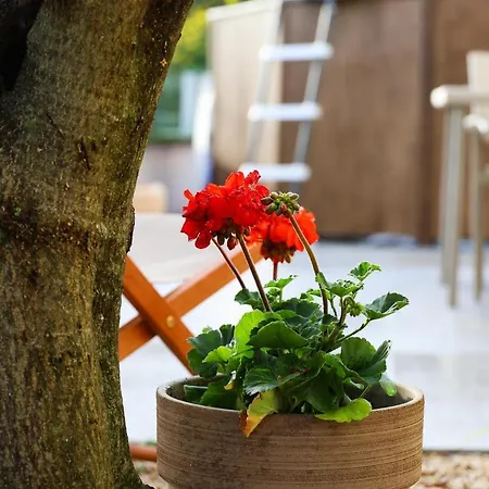 Zadar, The Florens - Near The With The New Pool & Garden, Bbq And Kids Playground