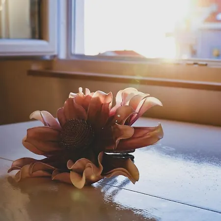 Zadar, The Florens - Near The With The New Pool & Garden, Bbq And Kids Playground Apartment *