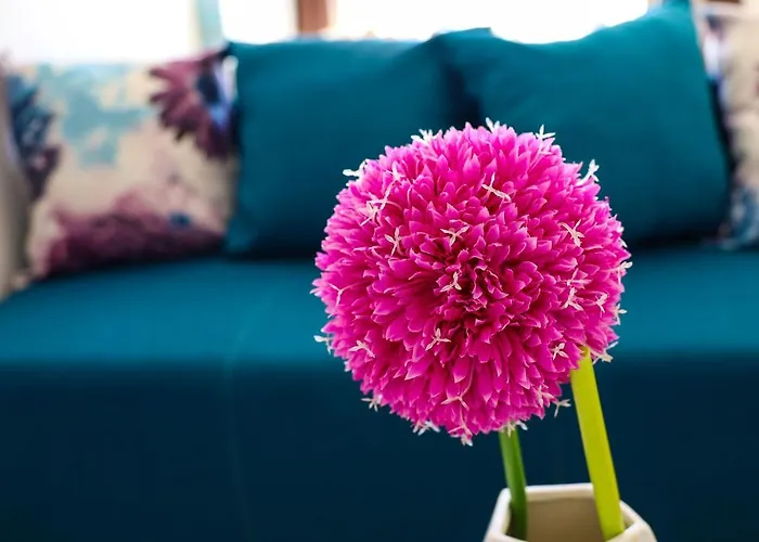 Appartement Zadar, The Florens - Near The With The New Pool & Garden, Bbq And Kids Playground