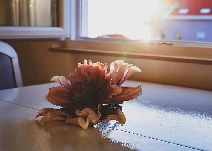 Zadar, The Florens - Near The With The New Pool & Garden, Bbq And Kids Playground Appartement *